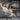 Dowinx ファブリック ゲーミングチェア LS-6658 (グレー&ピンク) DOWINX.JP