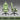Dowinx ファブリック ゲーミングチェア LS-6657BC (グリーン) DOWINX.JP
